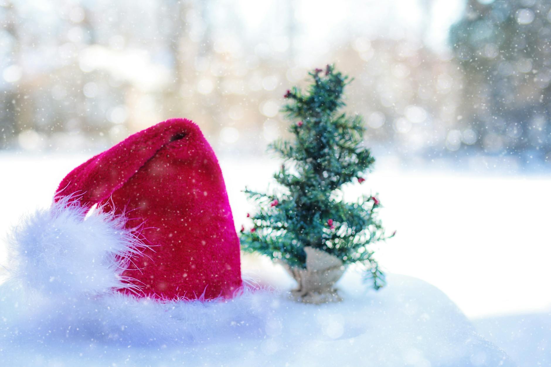 festive image of a santa hat in the snow