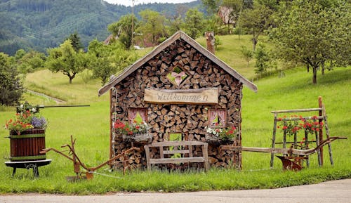 Maison En Bois Brun Près De L'arbre