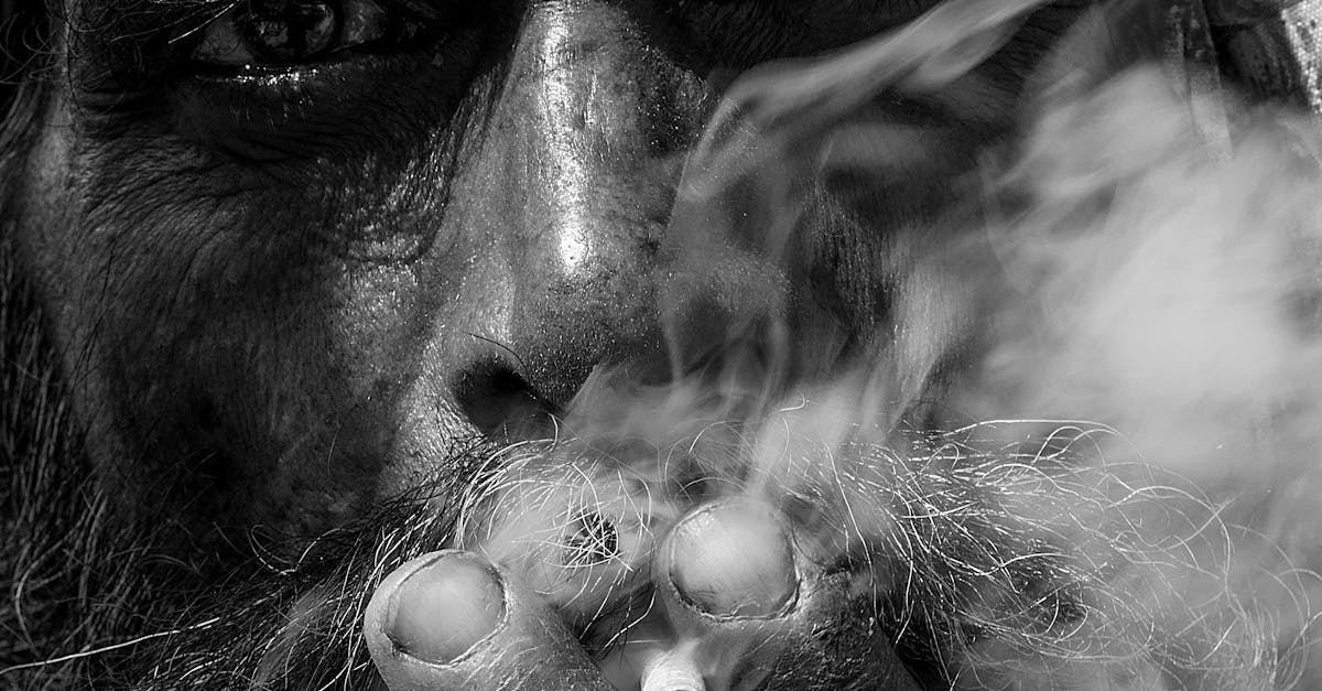 How do you smoke a cigarette for beginners