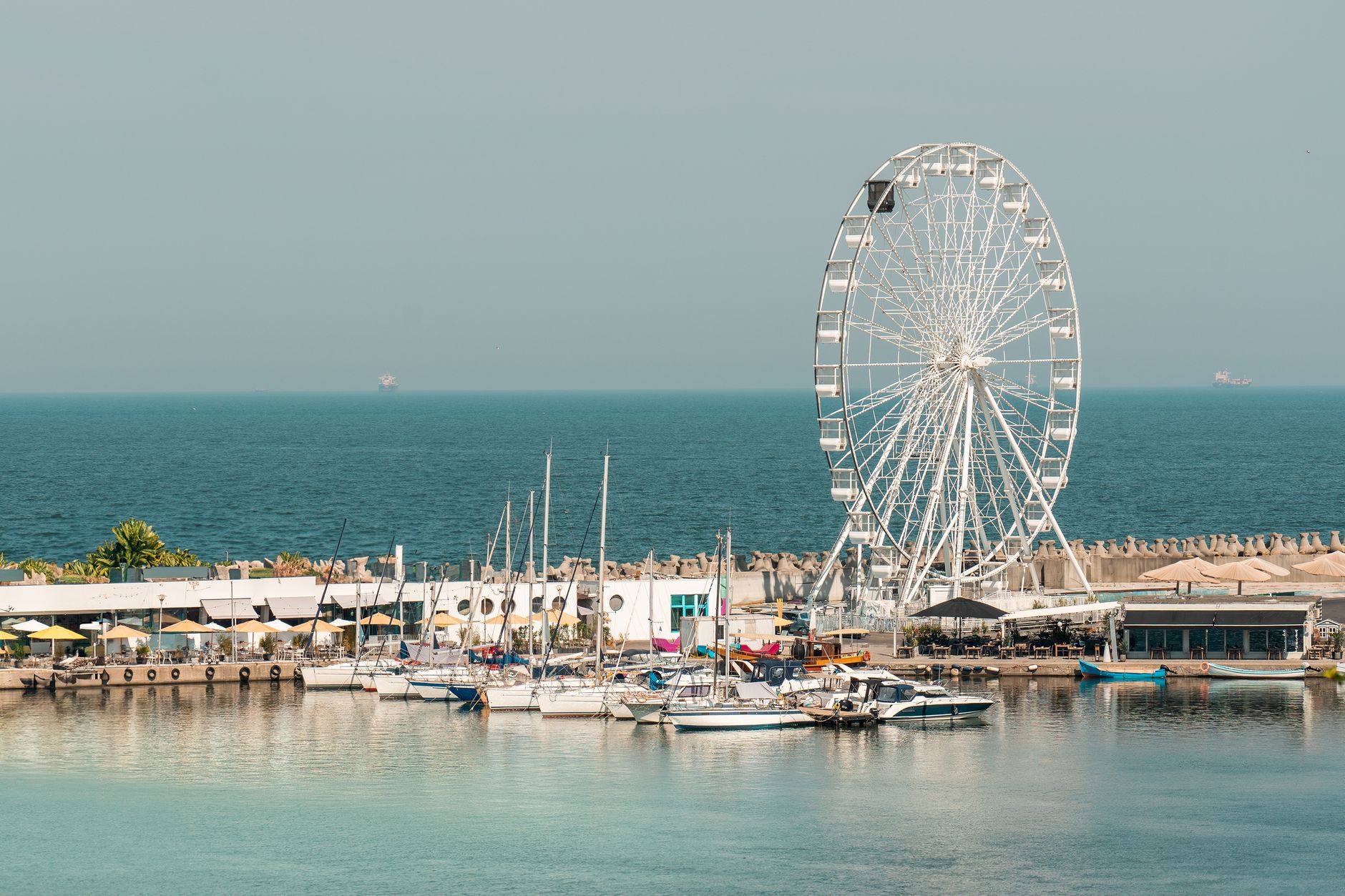 Studiu la Constanța: majoritatea fructelor de mare din Marea Neagră conțin microplastice