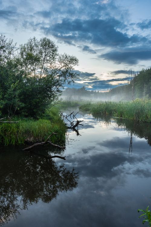 Free A tranquil river scene at dawn with mist, lush greenery, and a reflection of a cloudy sky. Stock Photo