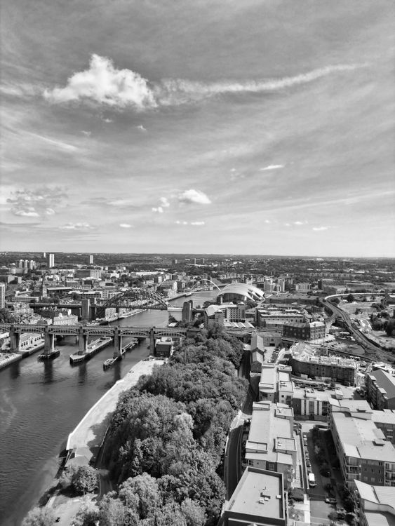 Birds Eye View of City in Black and White · Free Stock Photo