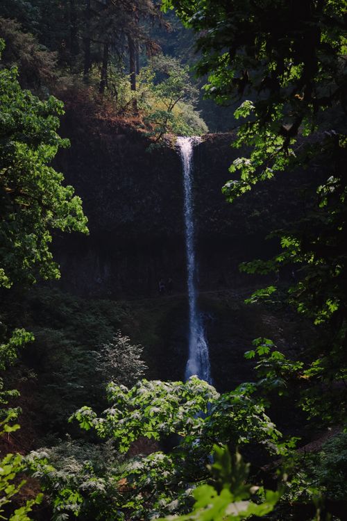 Free A breathtaking waterfall cascades through Oregon's dense forest, surrounded by vibrant greenery. Stock Photo