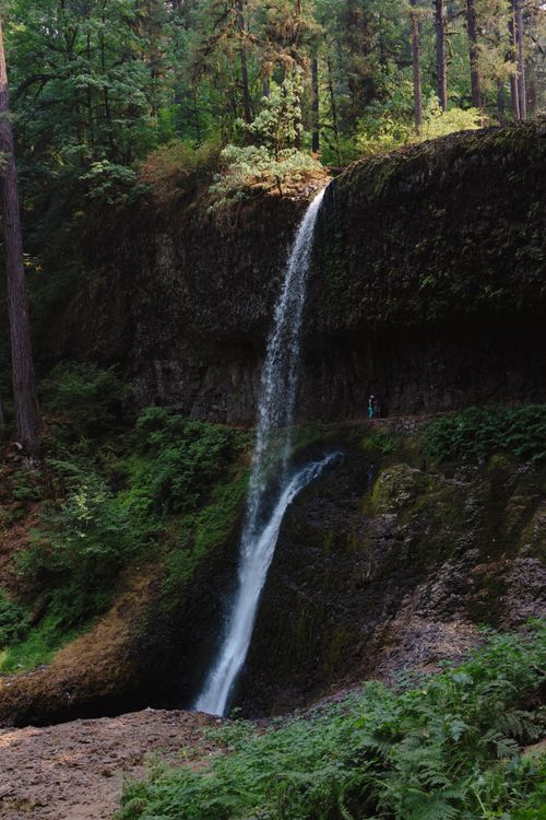 Free Discover the breathtaking beauty of a waterfall in Oregon's lush, green forest setting. Stock Photo
