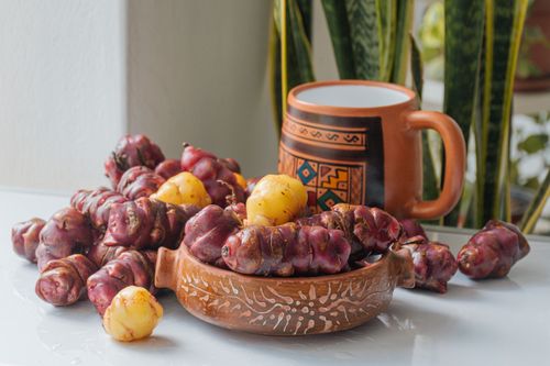 Free Olluco tubers with traditional Peruvian mug and ceramic bowl on a rustic table. Stock Photo