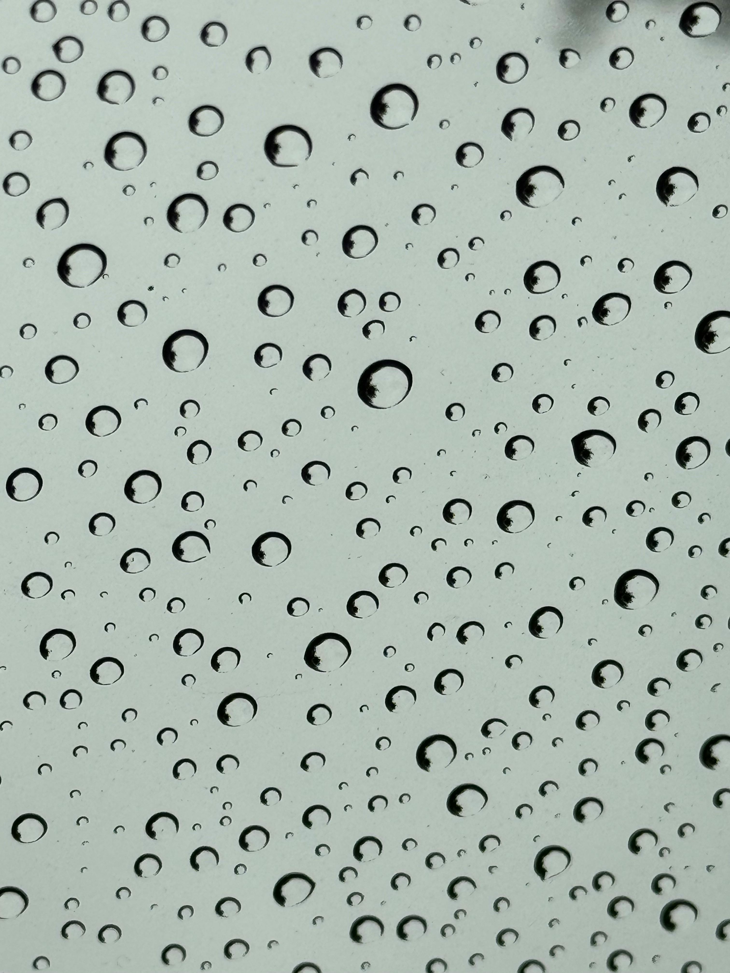 Rain drops · Free Stock Photo