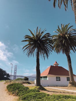 风景如画，有棕榈树、沿海小屋和旧金山的金门大桥