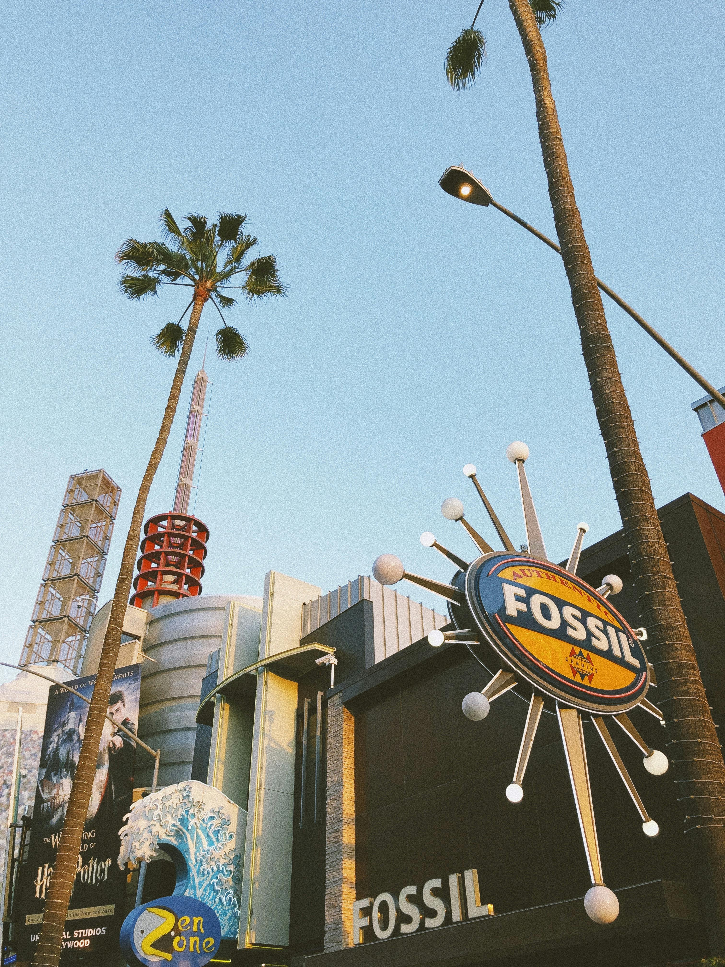 热闹的城市场景中，化石商店的招牌和晴朗的天空格外引人注目