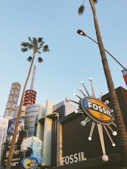 热闹的城市场景中，化石商店的招牌和晴朗的天空格外引人注目