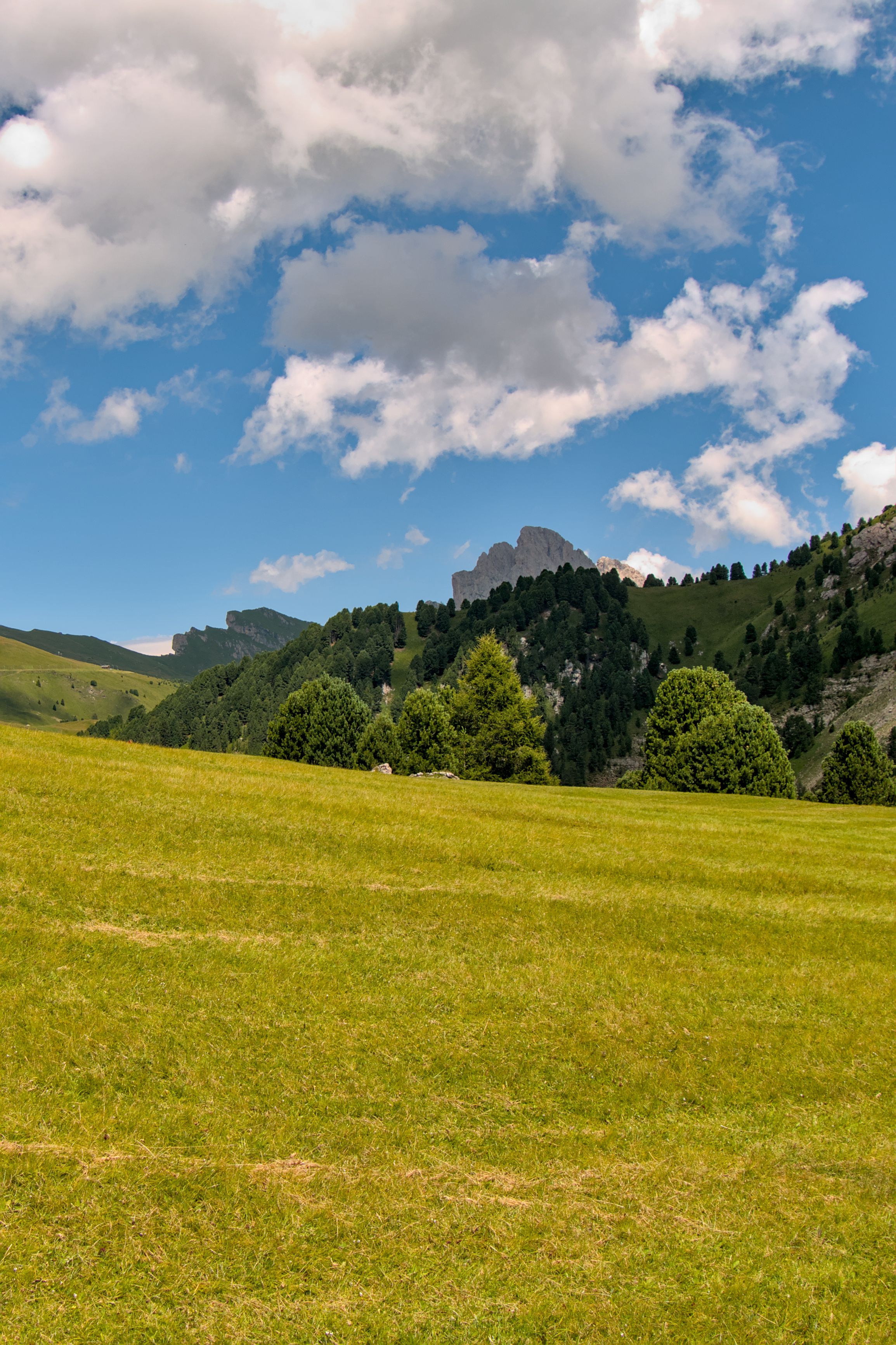 Breathtaking view of meadows and Dolomites in Santa Cristina Valgardena, Italy, ideal for nature and travel lovers.