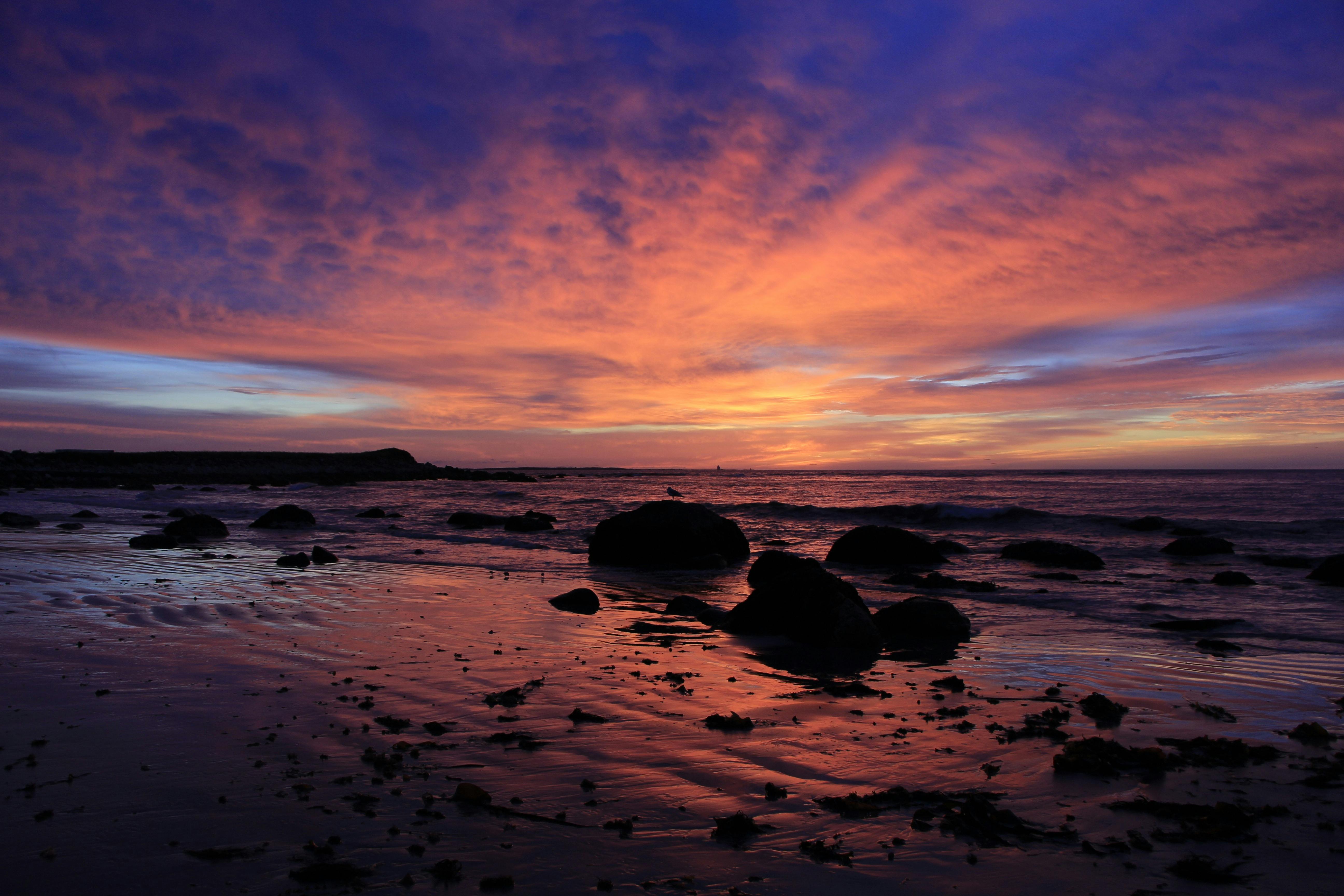 Horizon during Sunset · Free Stock Photo Horizon during Sunset · Free Stock Photo