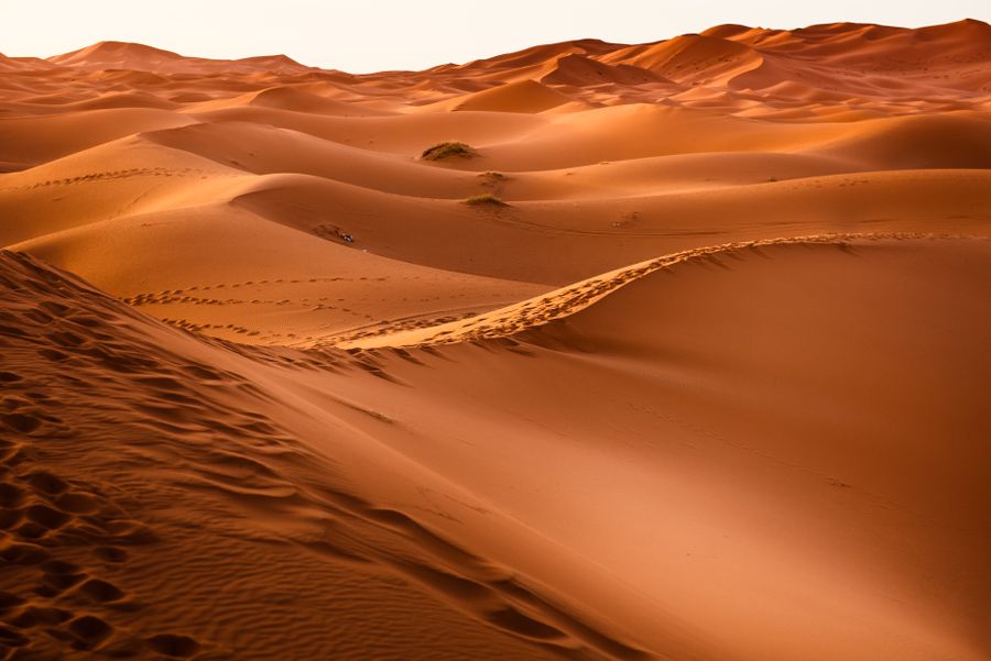 Saudi Arabia