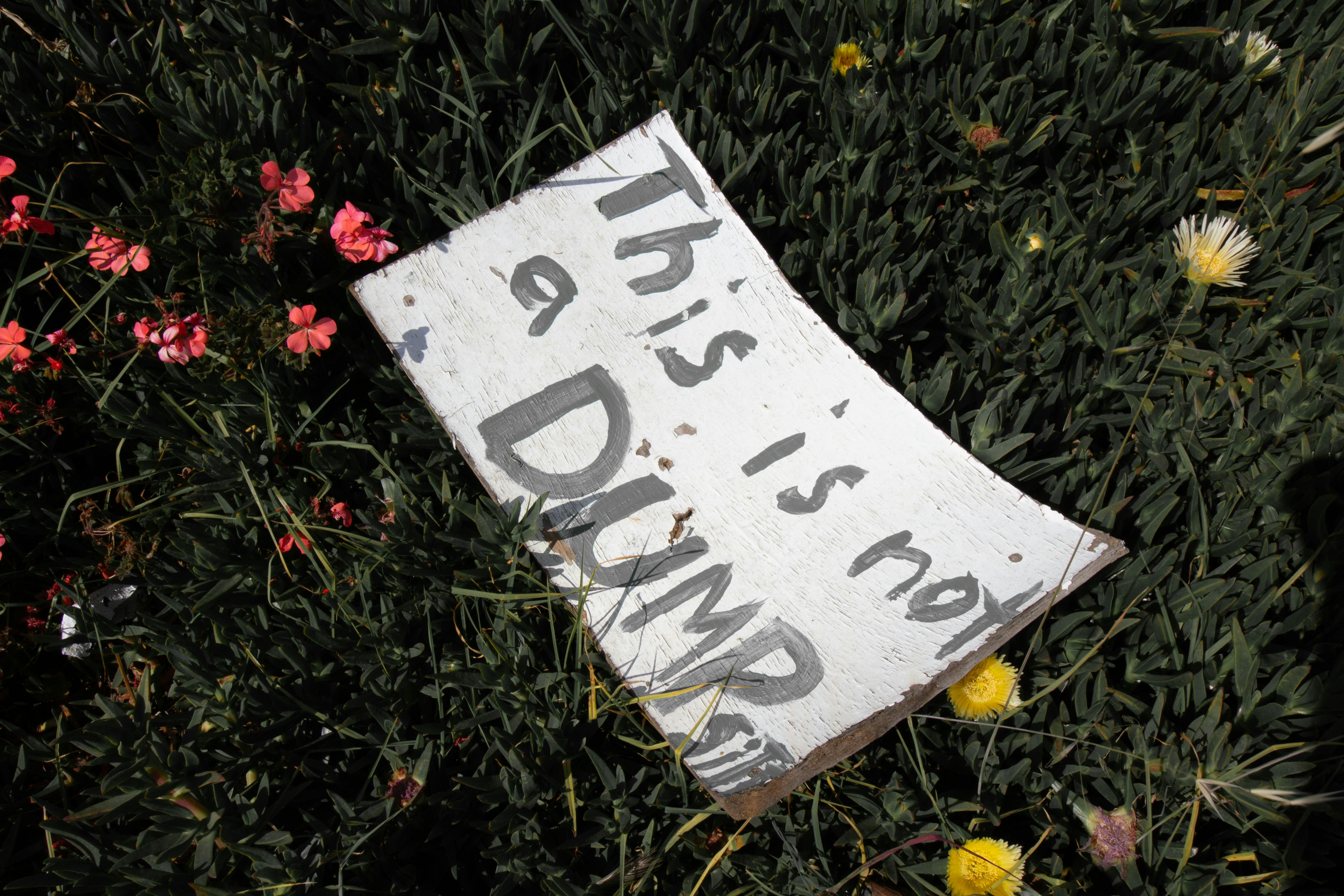 Opinion: This is what will ruin public opinion polling for good — Photo by Arron McCrory on Pexels
