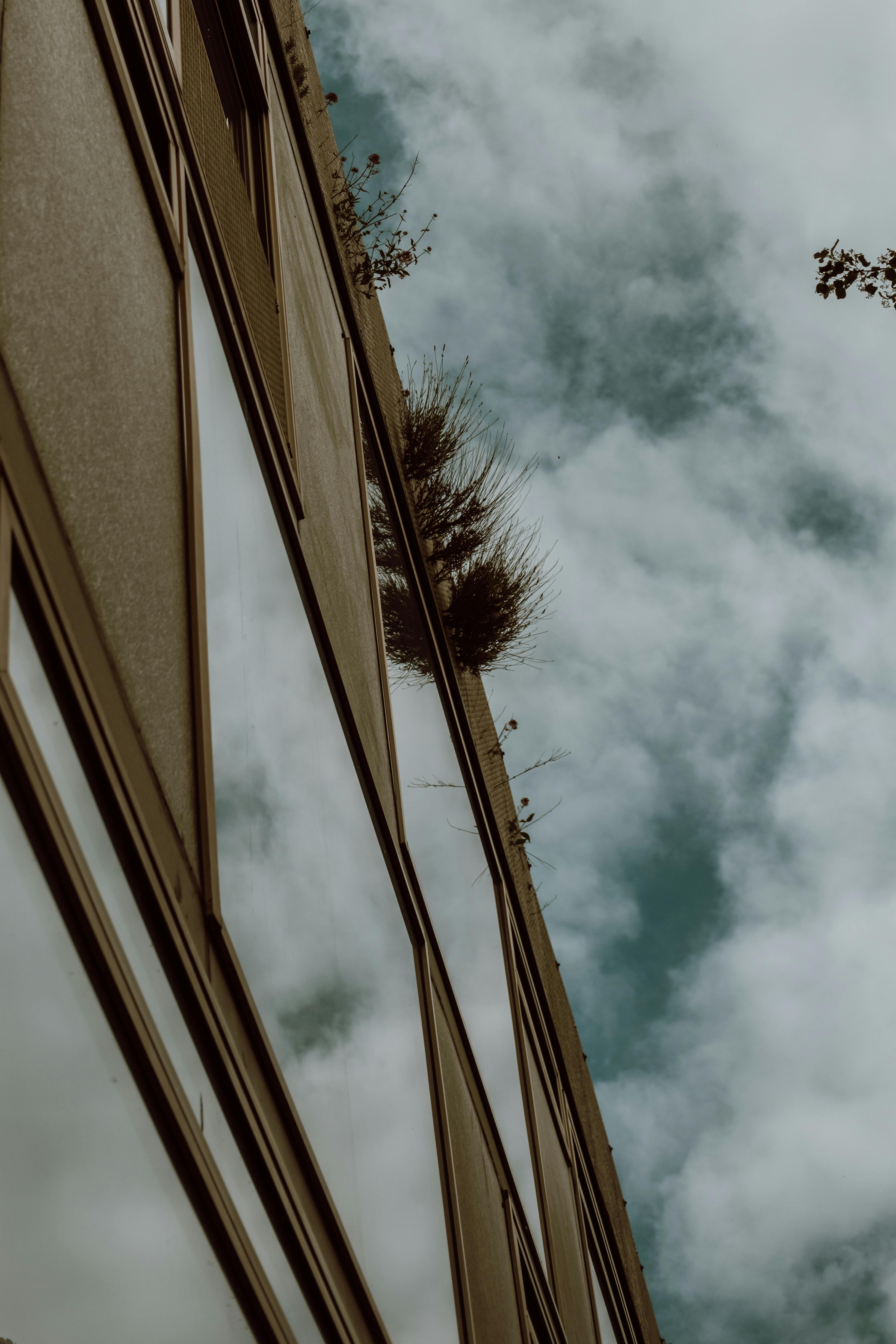 a building with a reflection of trees and sky