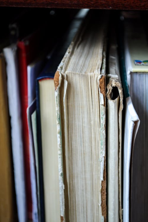 Free Closeup Photo of Book Filed on Shelf Stock Photo