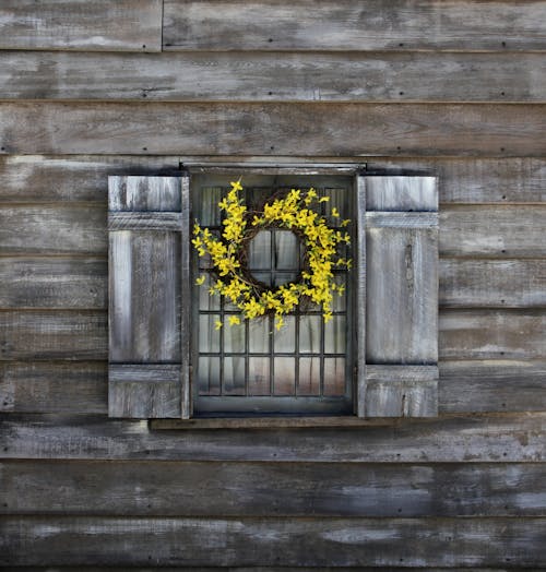 Foto profissional grátis de amarelo, aparência, arte