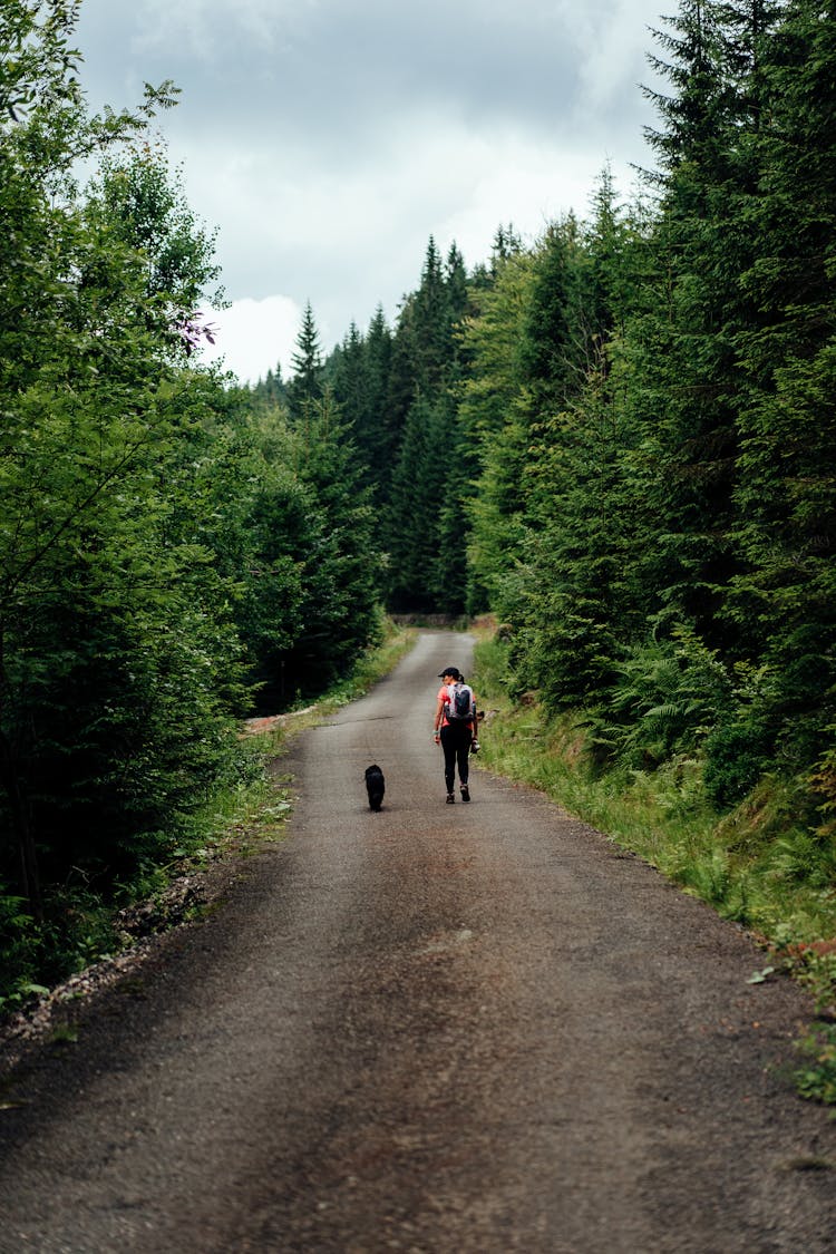 Person Walking On The Road With A Dog