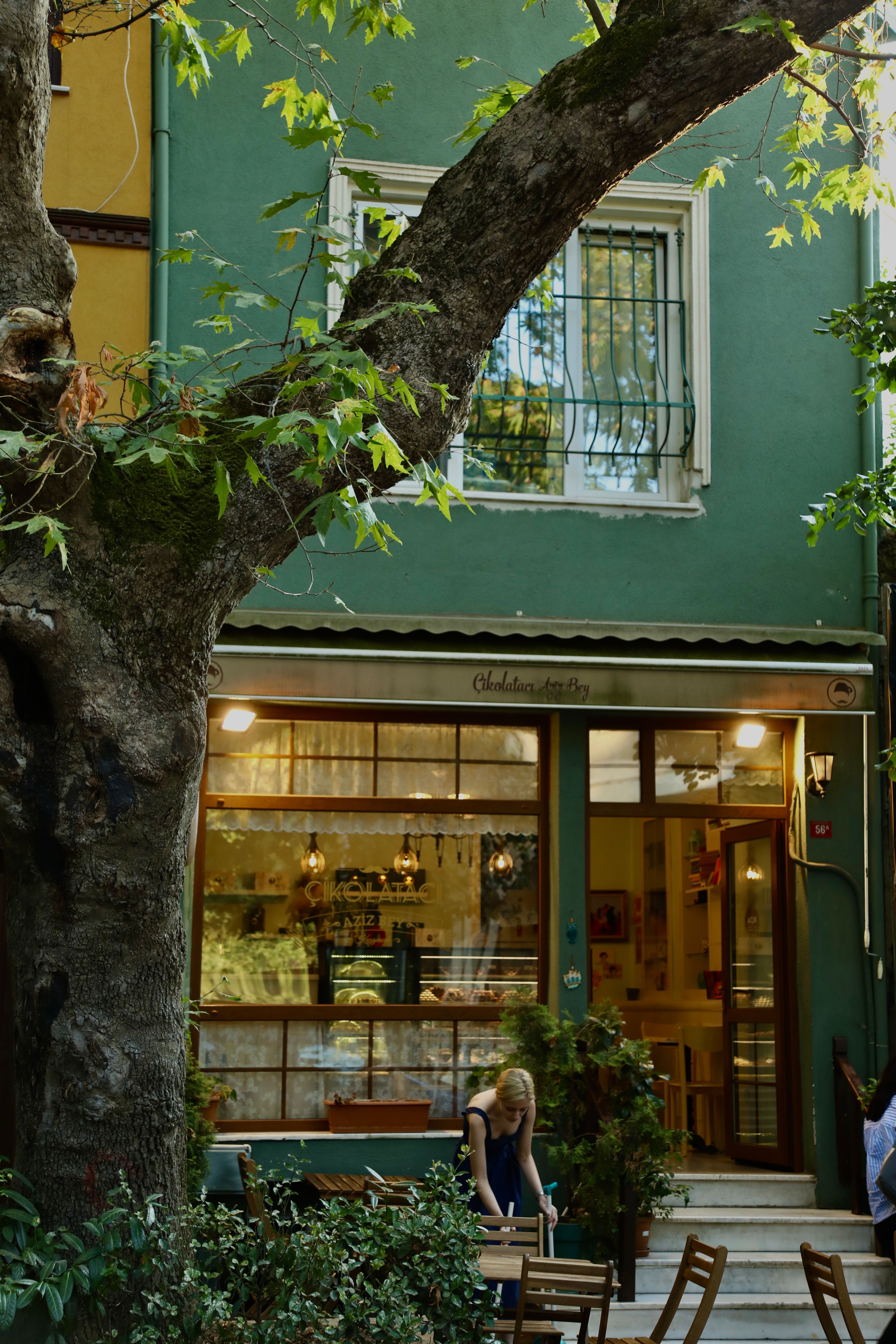 Cozy outdoor café with seating under a lush tree, perfect for relaxation in a serene street setting.