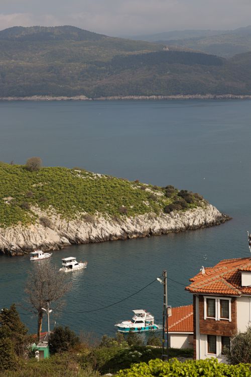 Free Explore the picturesque Amasra coastline with clear waters and lush greenery in Türkiye. Stock Photo