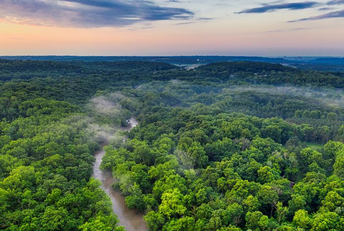 North Central Florida lush forest river springs