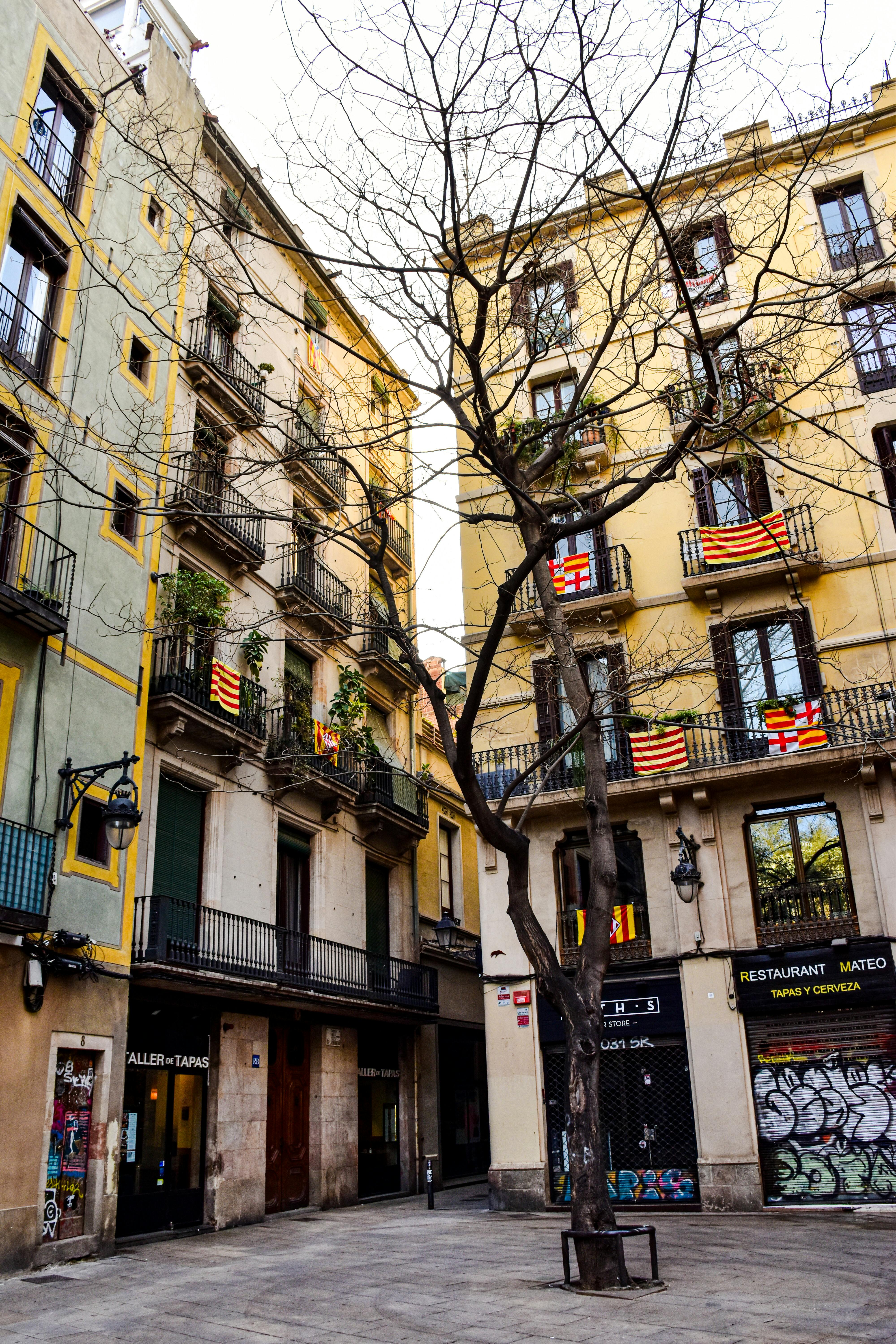 a street with buildings and trees in the background