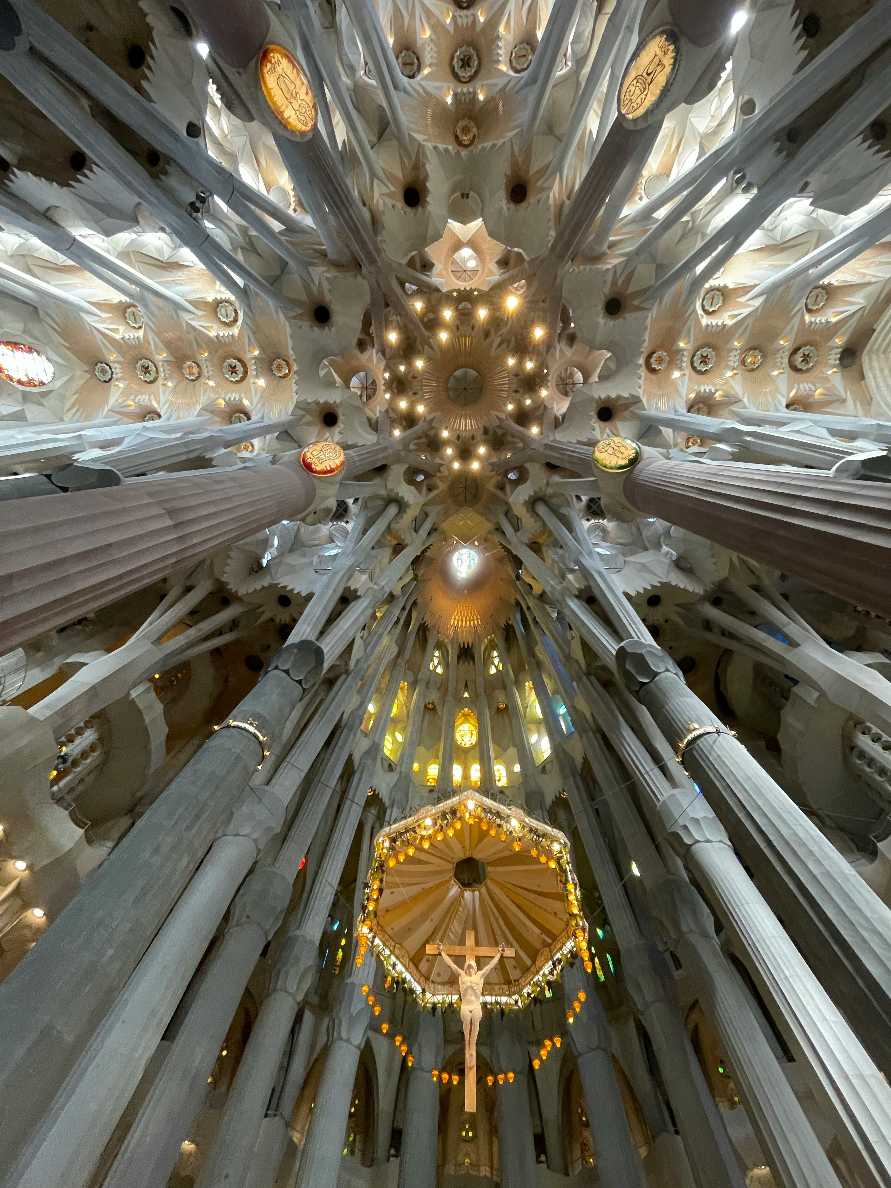 the ceiling of sagrada familia in barcelona spain