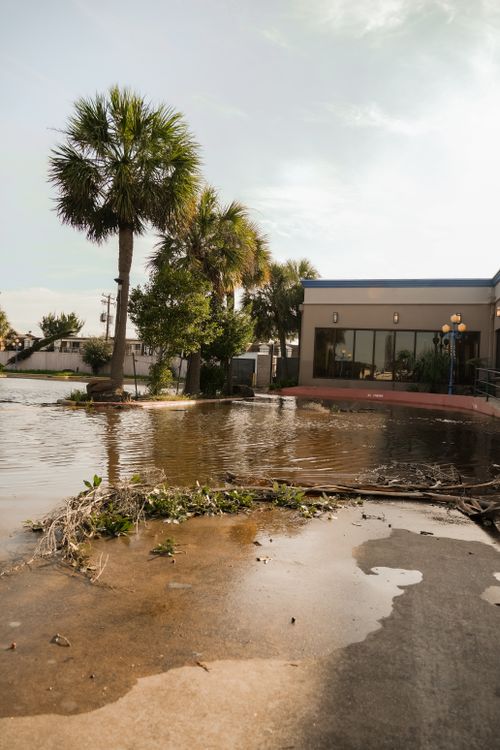 Free A flooded street in Houston, Texas with palm trees and a building nearby. Stock Photo