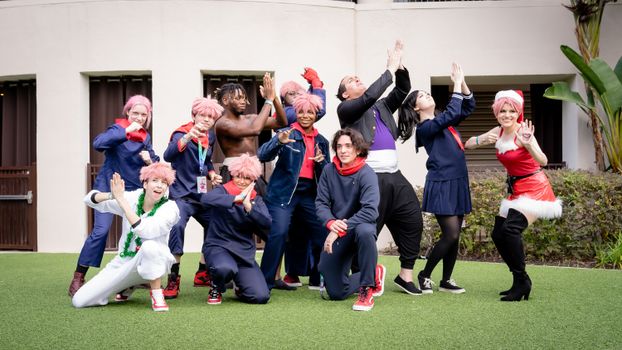 Group of people in anime cosplay posing outdoors at a festival.