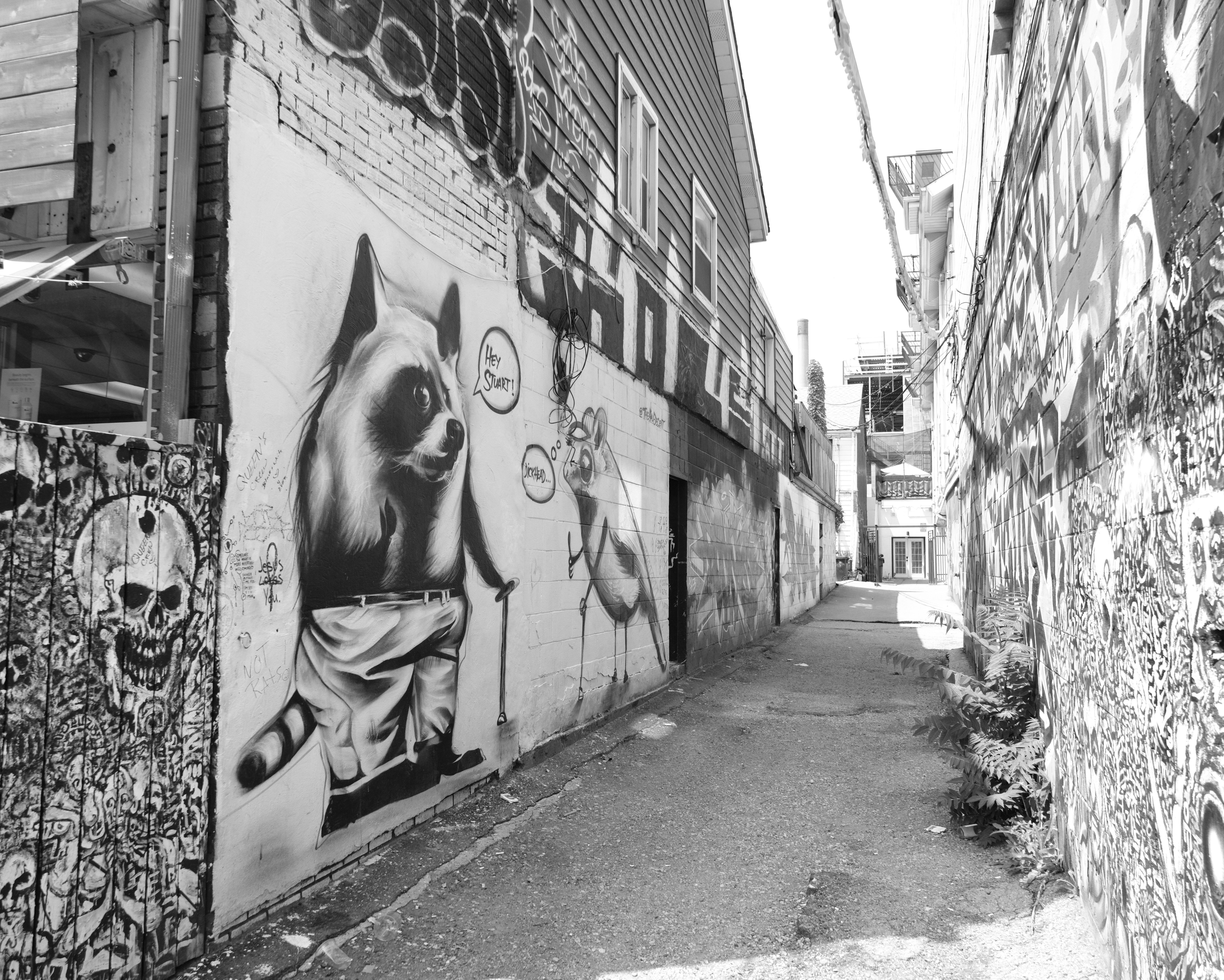 Graffiti Alley (Rush Lane)