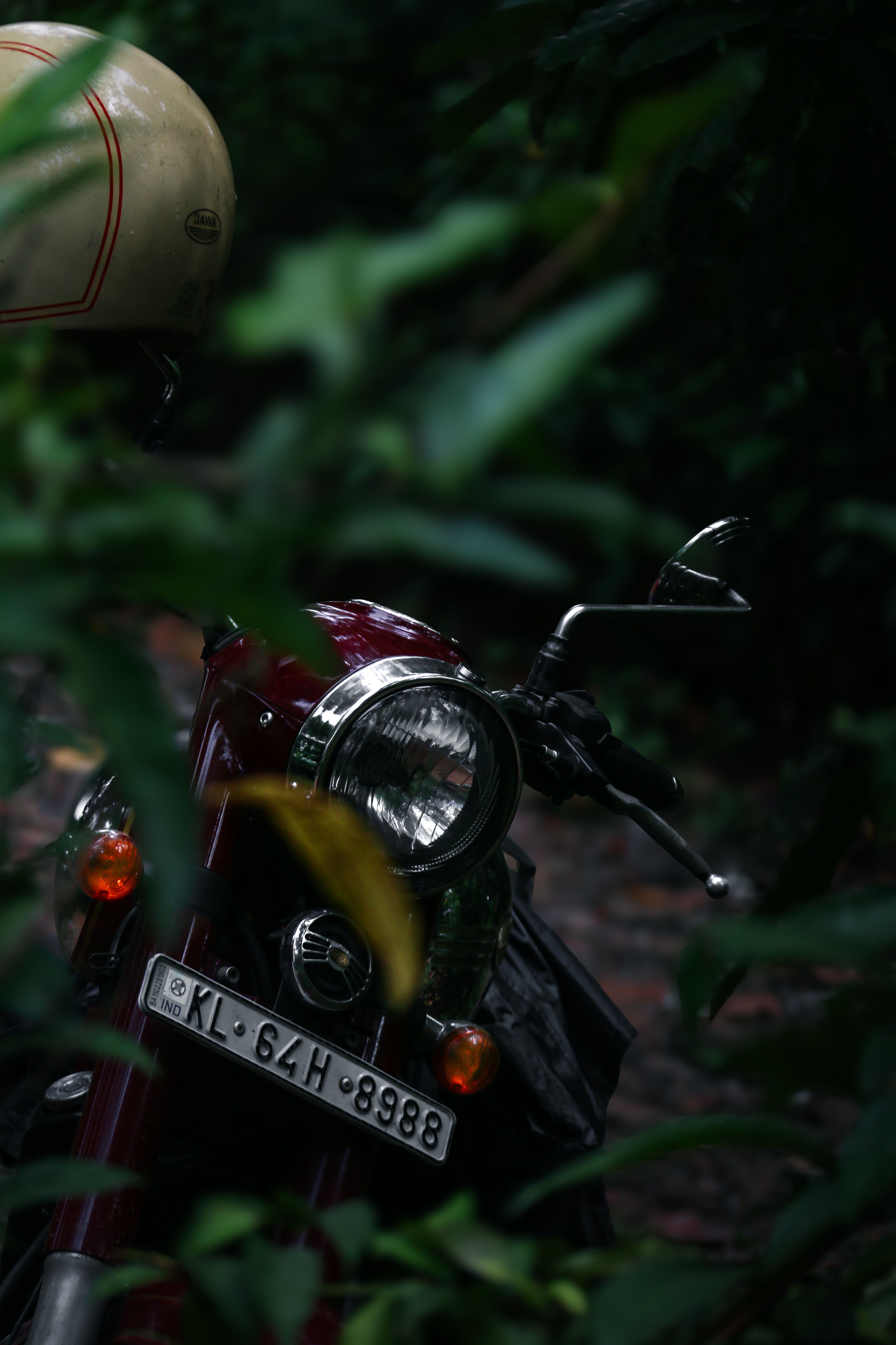 Royal Enfield motorcycle partially concealed by lush foliage in Kerala, India.