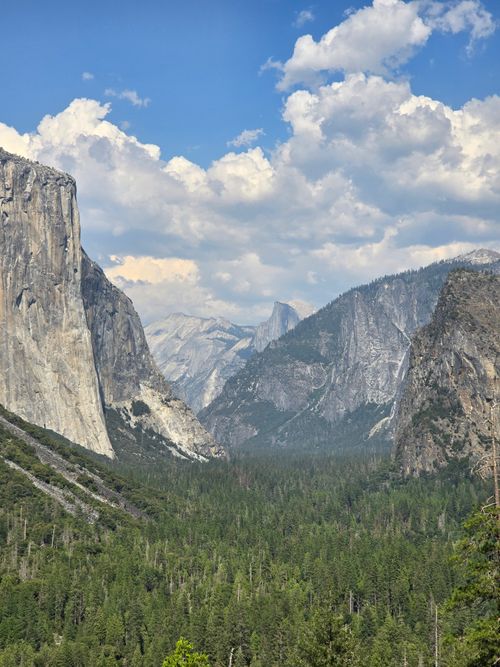 Free Majestic view of Yosemite Valley with lush forests and dramatic cliffs under a cloudy sky. Stock Photo
