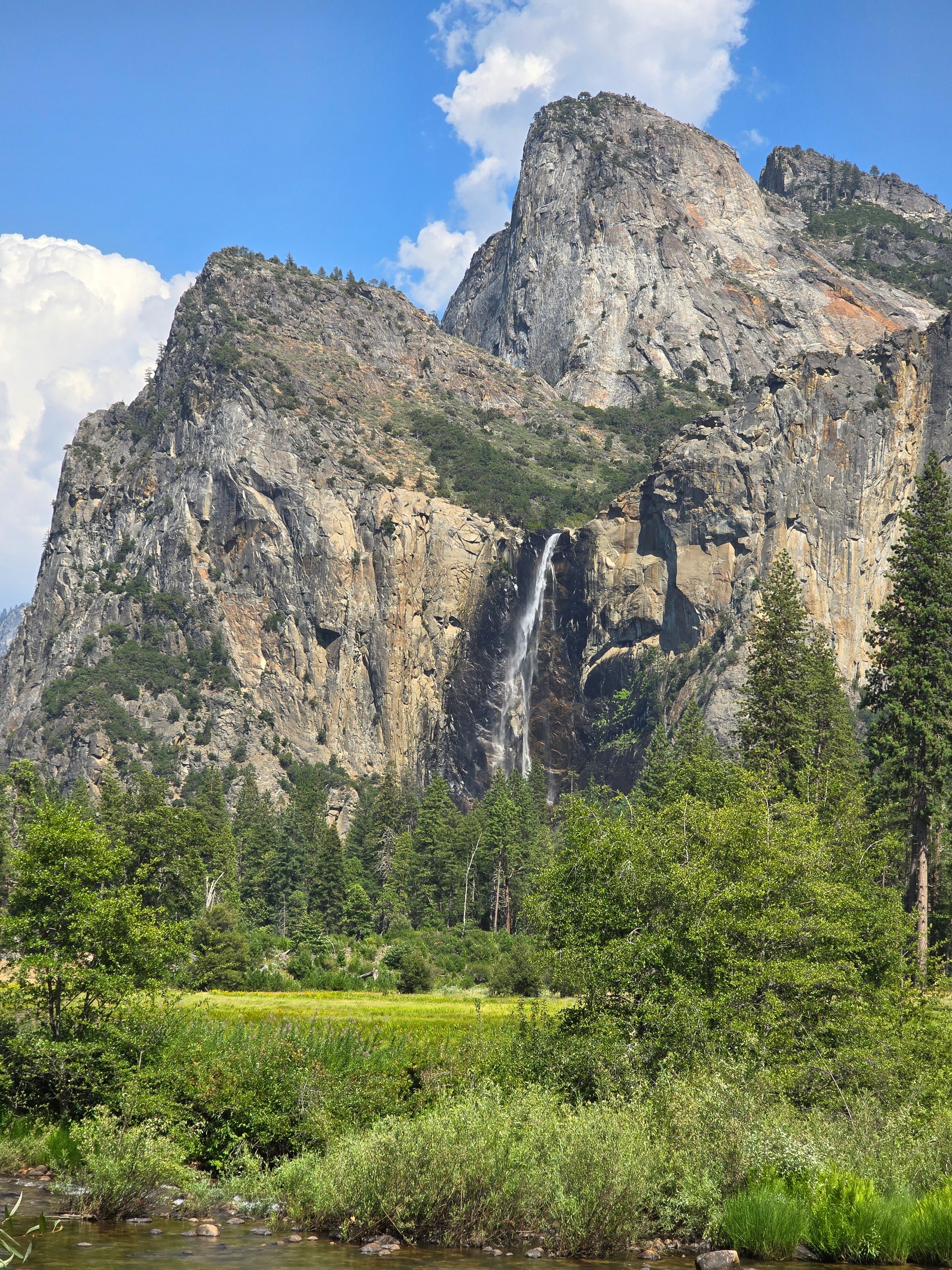 Fotomural Vista escénica de los acantilados del Valle de Yosemite y la cascada rodeada de exuberante vegetación.