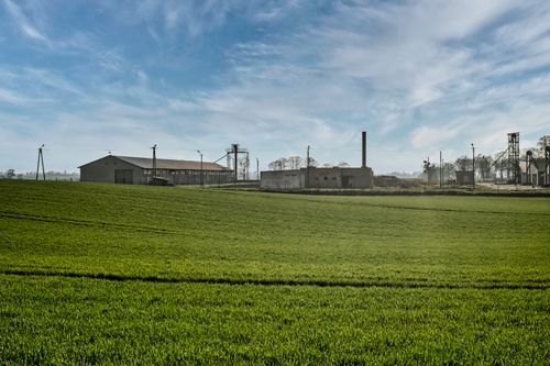 Free A serene view of lush farmland against a rural backdrop in Toruń, Poland. Stock Photo
