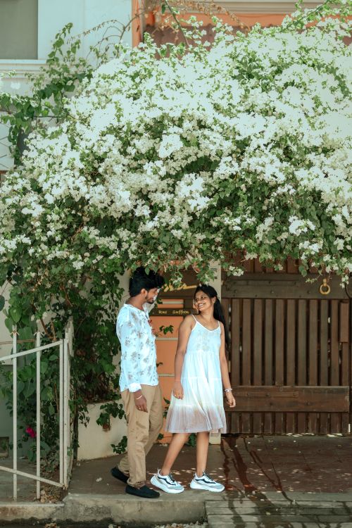 Free A couple enjoys a moment under a lush flowering tree in a summery garden setting. Stock Photo