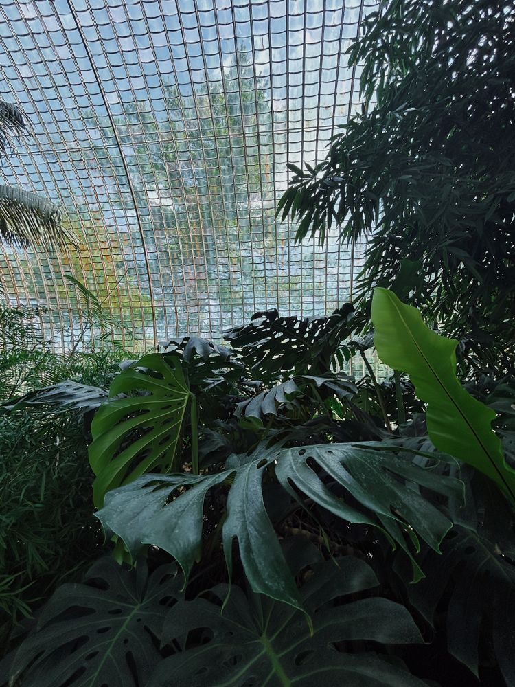 Biomes Photos, Download The BEST Free Biomes Stock Photos & HD Images