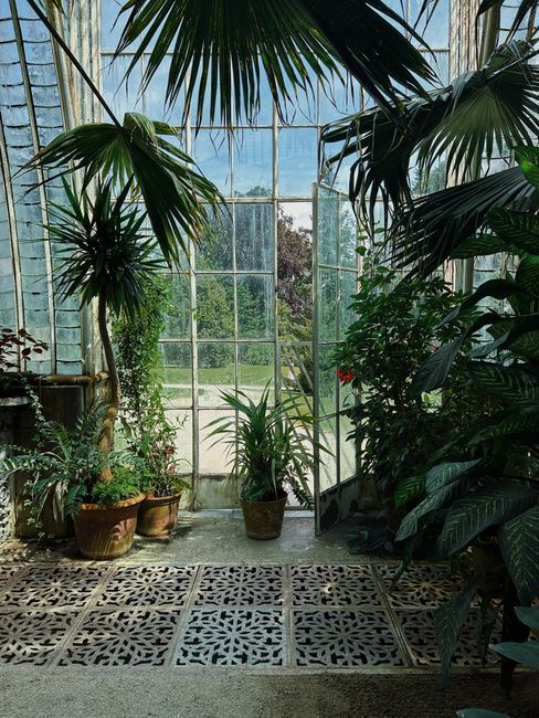 Explore the lush tropical plants inside a stunning greenhouse in Lednice, Czechia.
