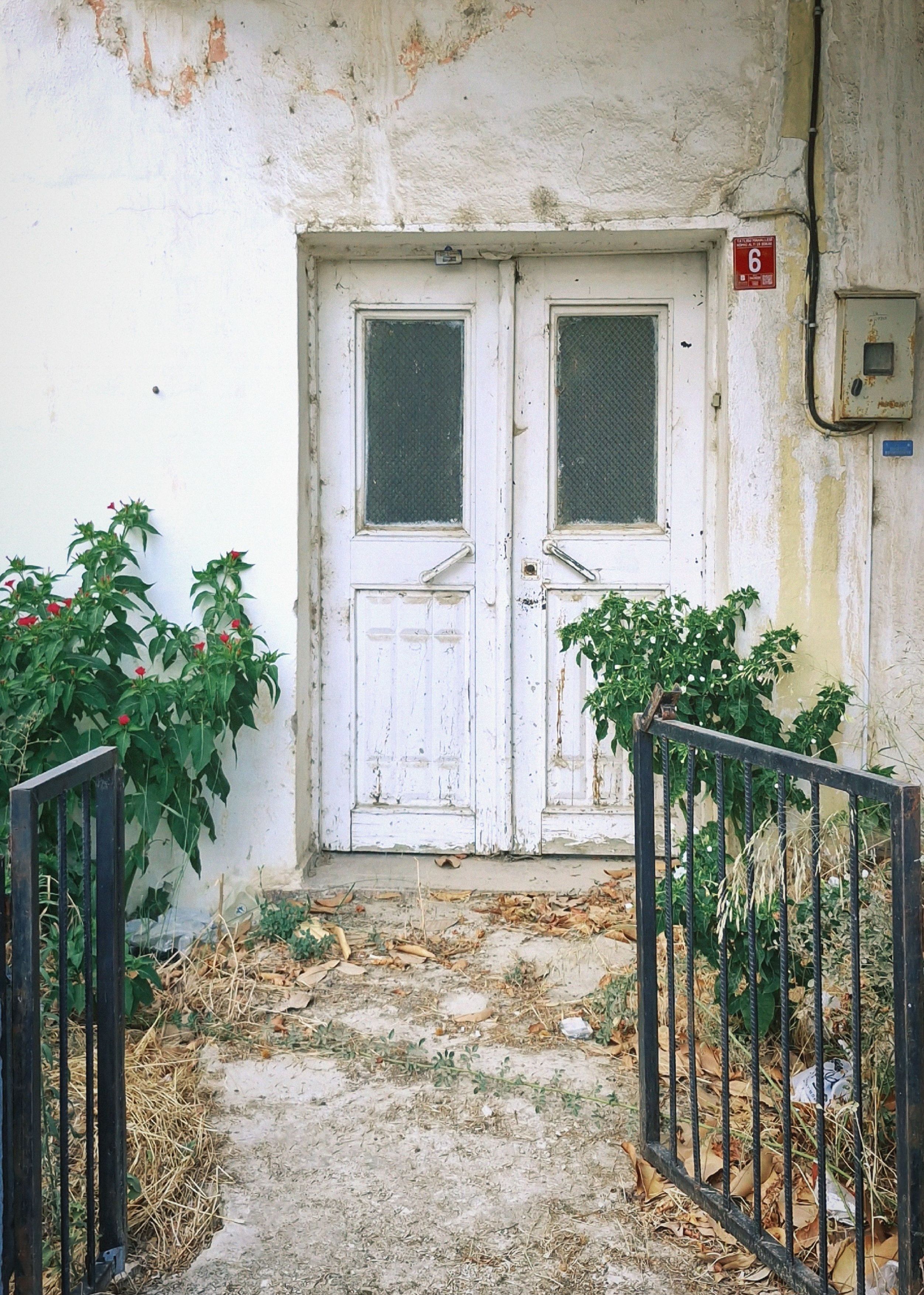 Weathered double doors in a rustic setting with overgrown plants and chipped paint.