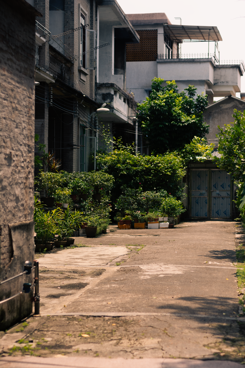 Free Explore a quaint alleyway in Zhongshan, Guangdong, China, featuring lush greenery and traditional architecture. Stock Photo