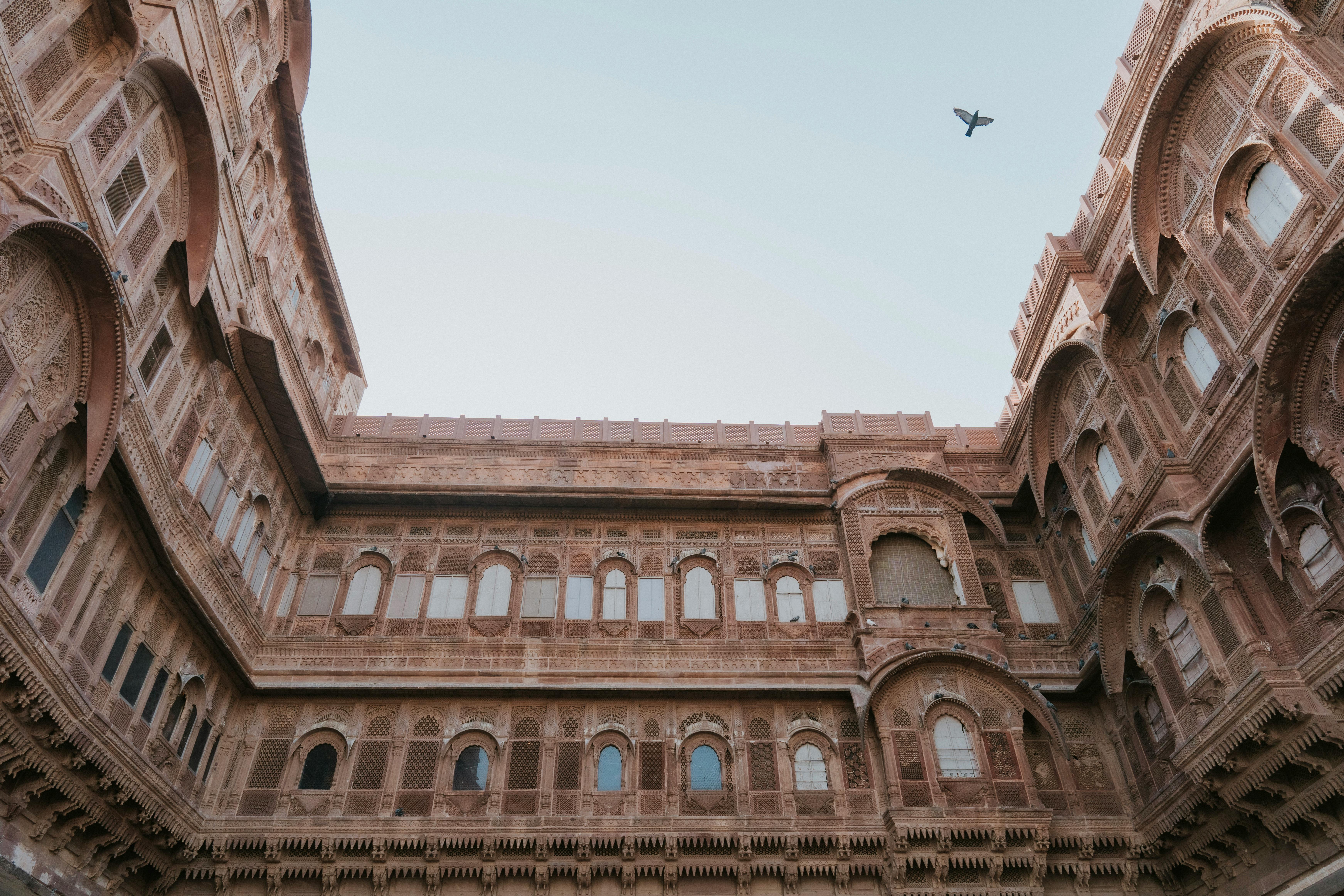 Explore the intricate stone carvings of Mehrangarh Fort in Udaipur, a remarkable example of Indian architecture.
