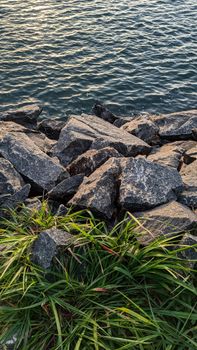 Image by Mohammed Sahil  Sarafudeen