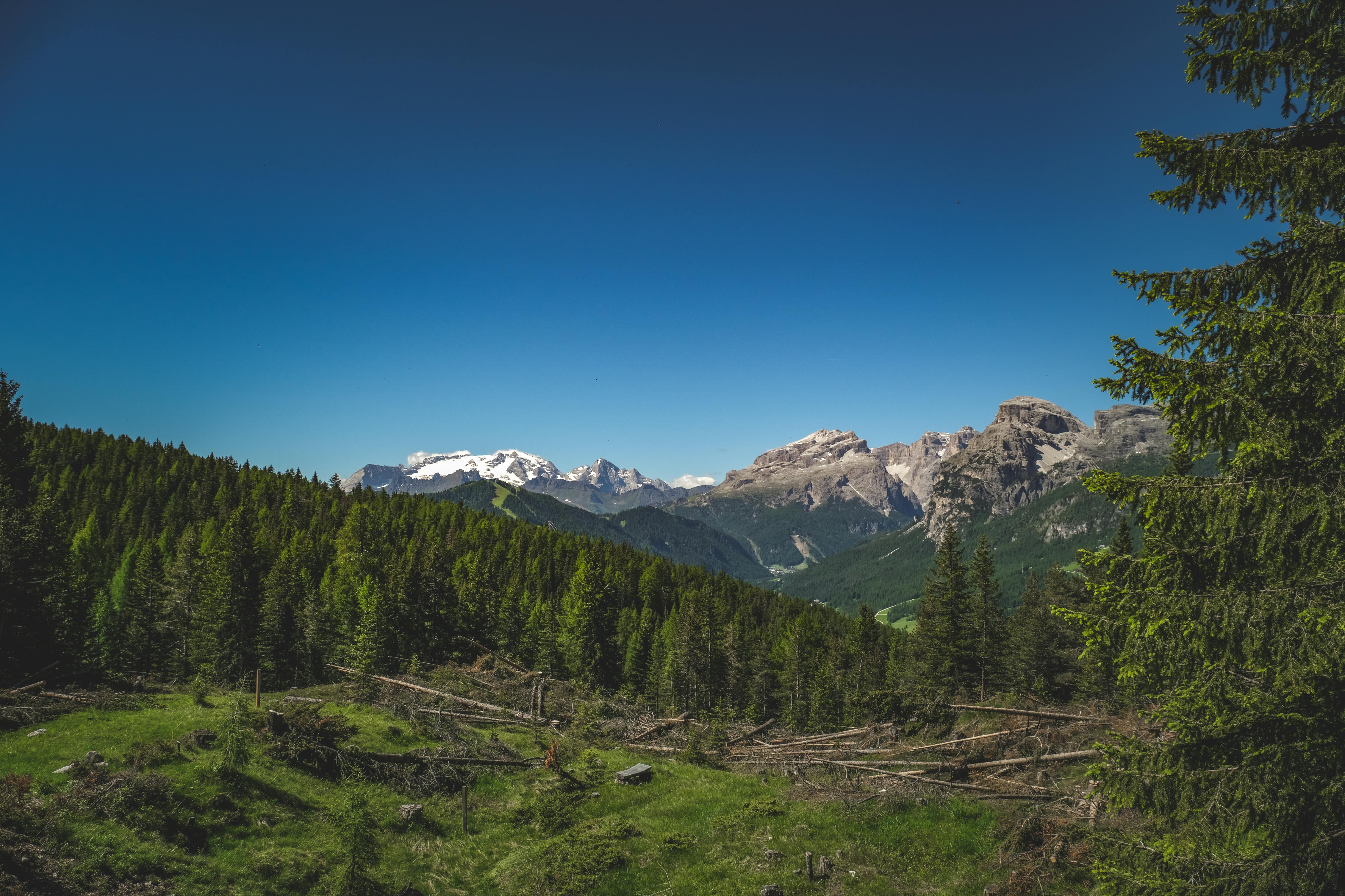 a view of the mountains and trees in the dolomites