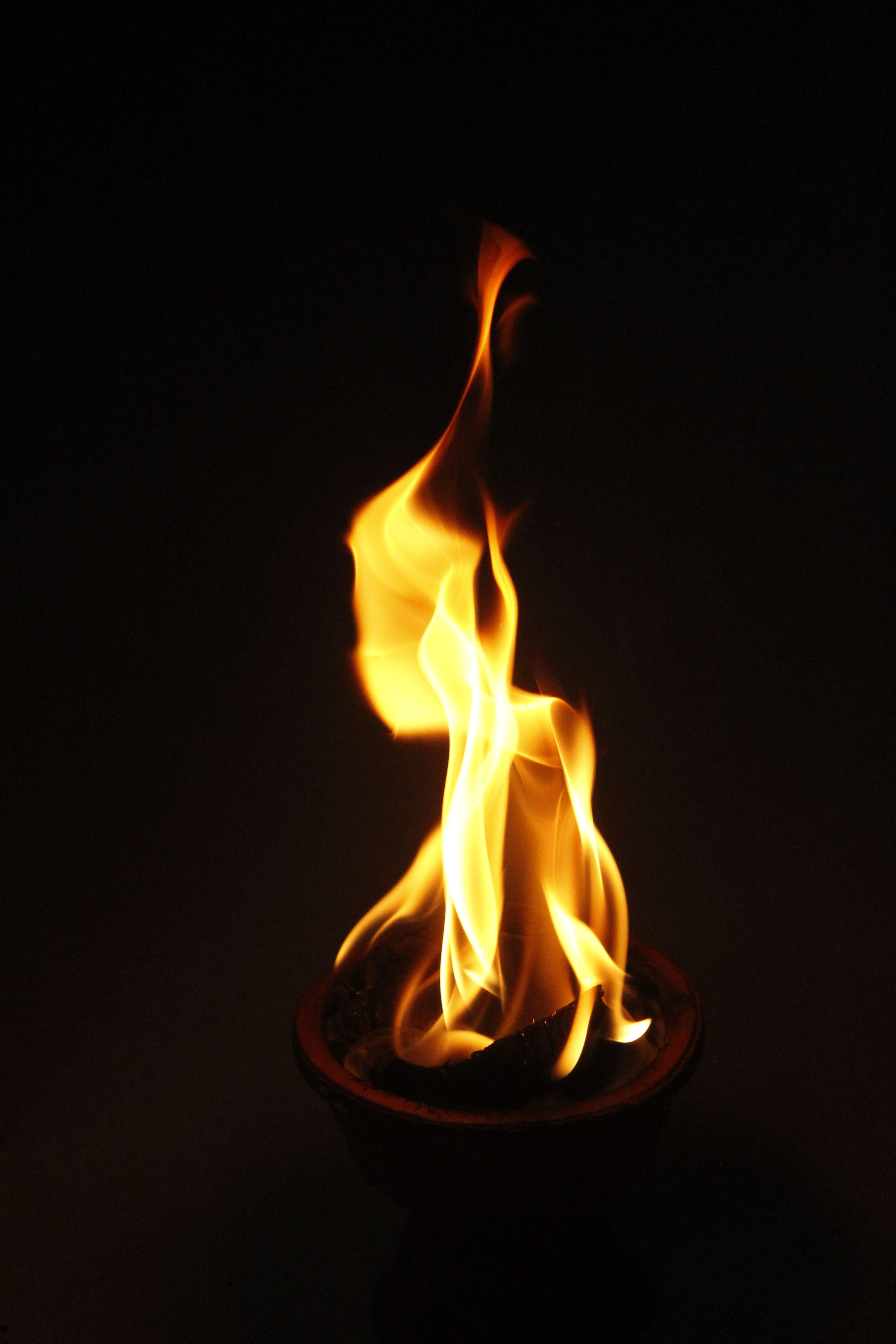 Captivating flames dance elegantly in a dark setting, creating a warm ambiance.