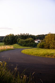 A serene countryside asphalt road winding through lush greenery under warm sunset light.