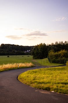Serene countryside road winding through lush fields under warm sunset skies.
