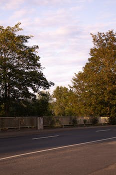A tranquil view of a road lined with lush trees under the warm autumn light.