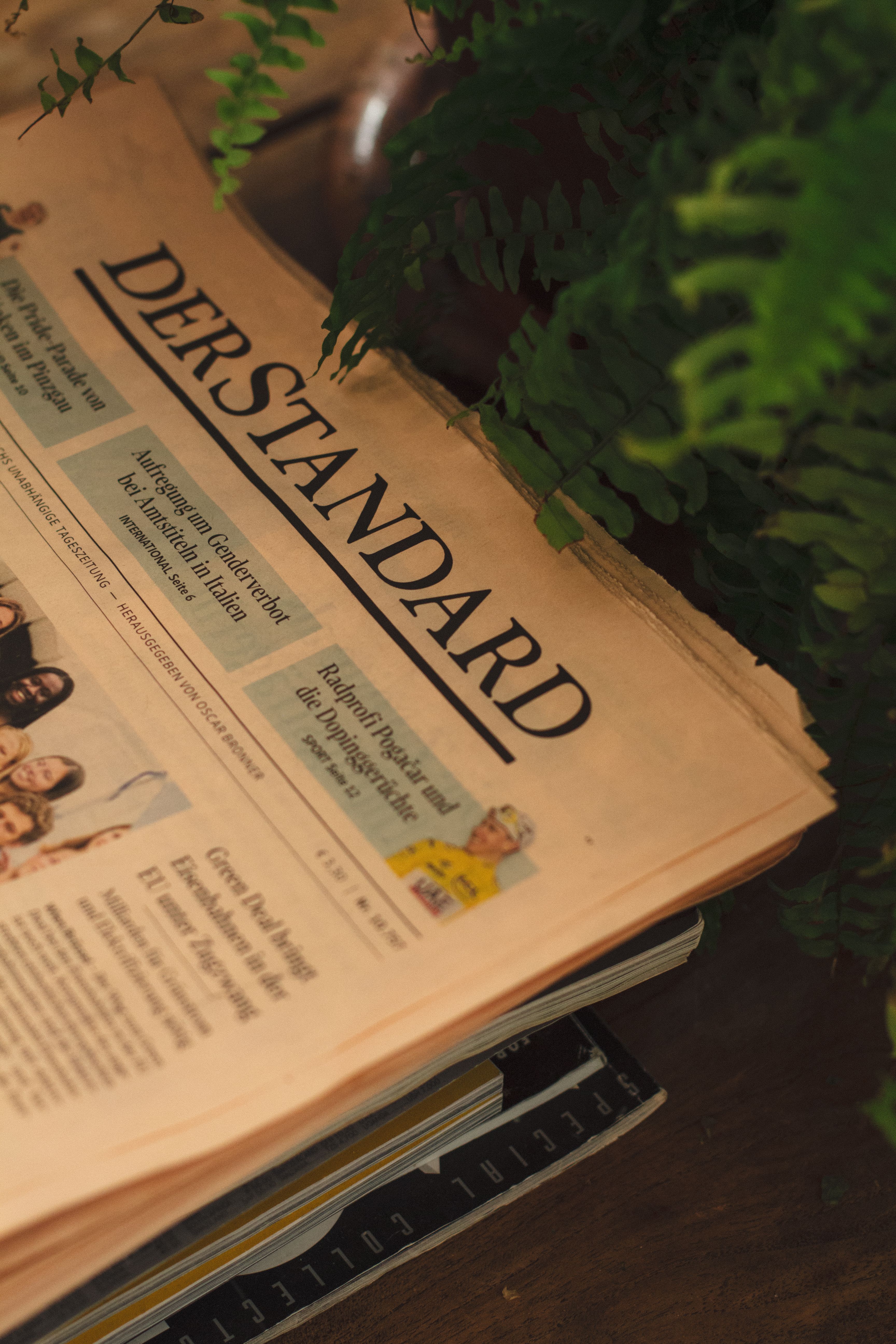 Stack of vintage newspapers titled 'DER STANDARD' with green fern leaves in the background on a wooden surface.