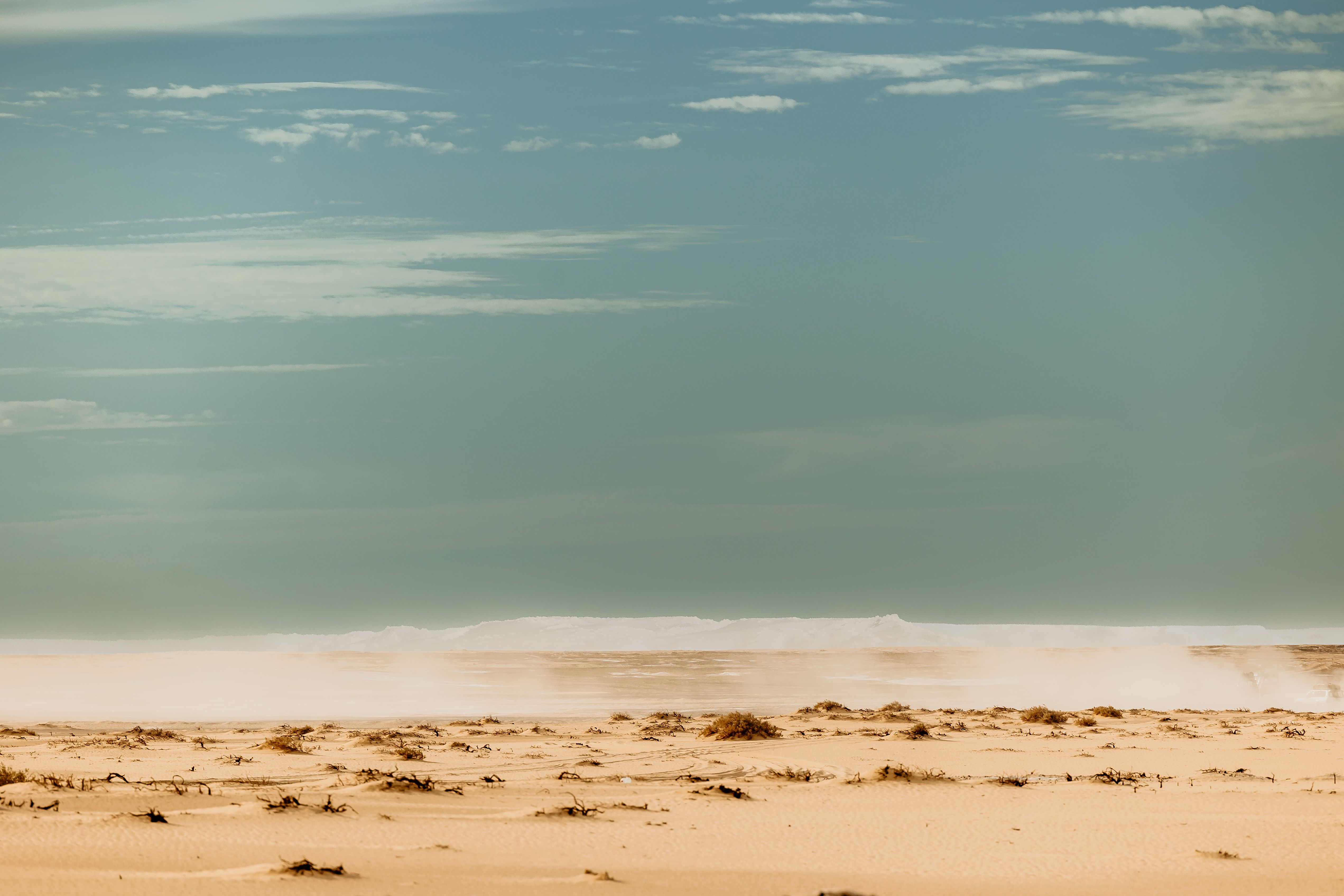 Foto: Eslam Mohammed Abdelmaksoud / Pexels