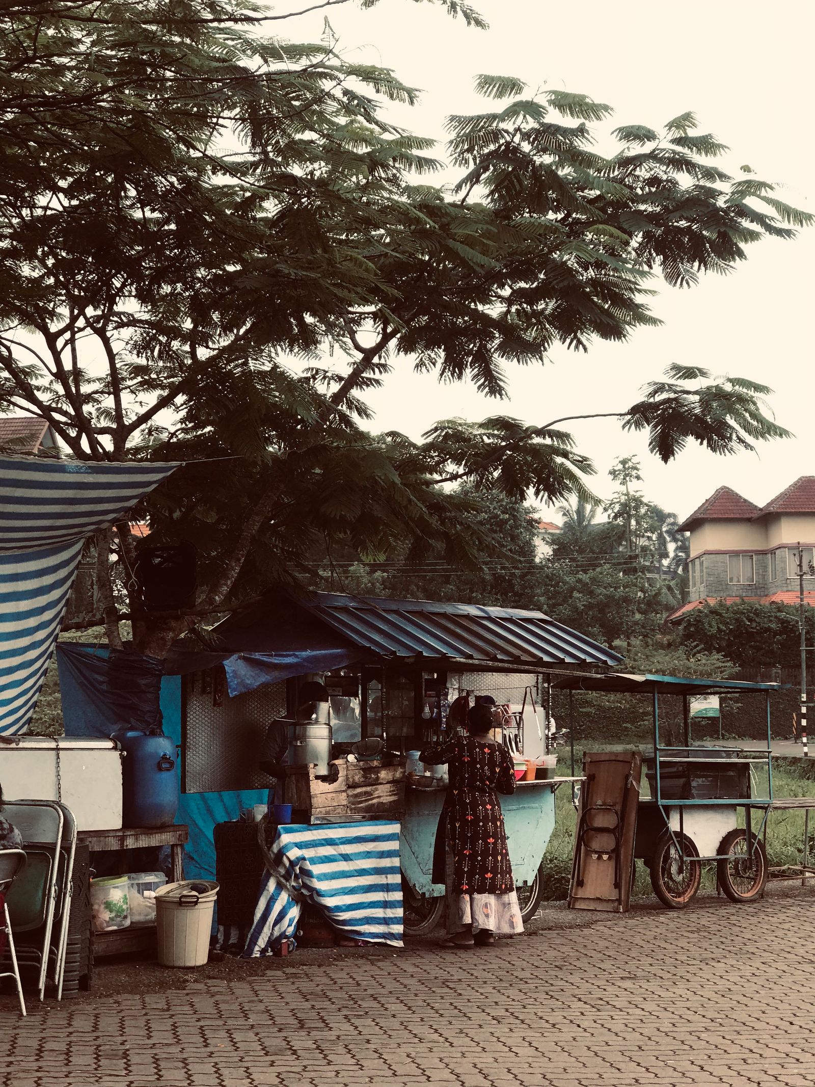 Temporary development photograph of an everyday street scene in Kerala, not Mulki.