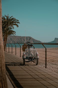 A vintage bicycle parked on Altea beach boardwalk with ocean view and palm trees.
