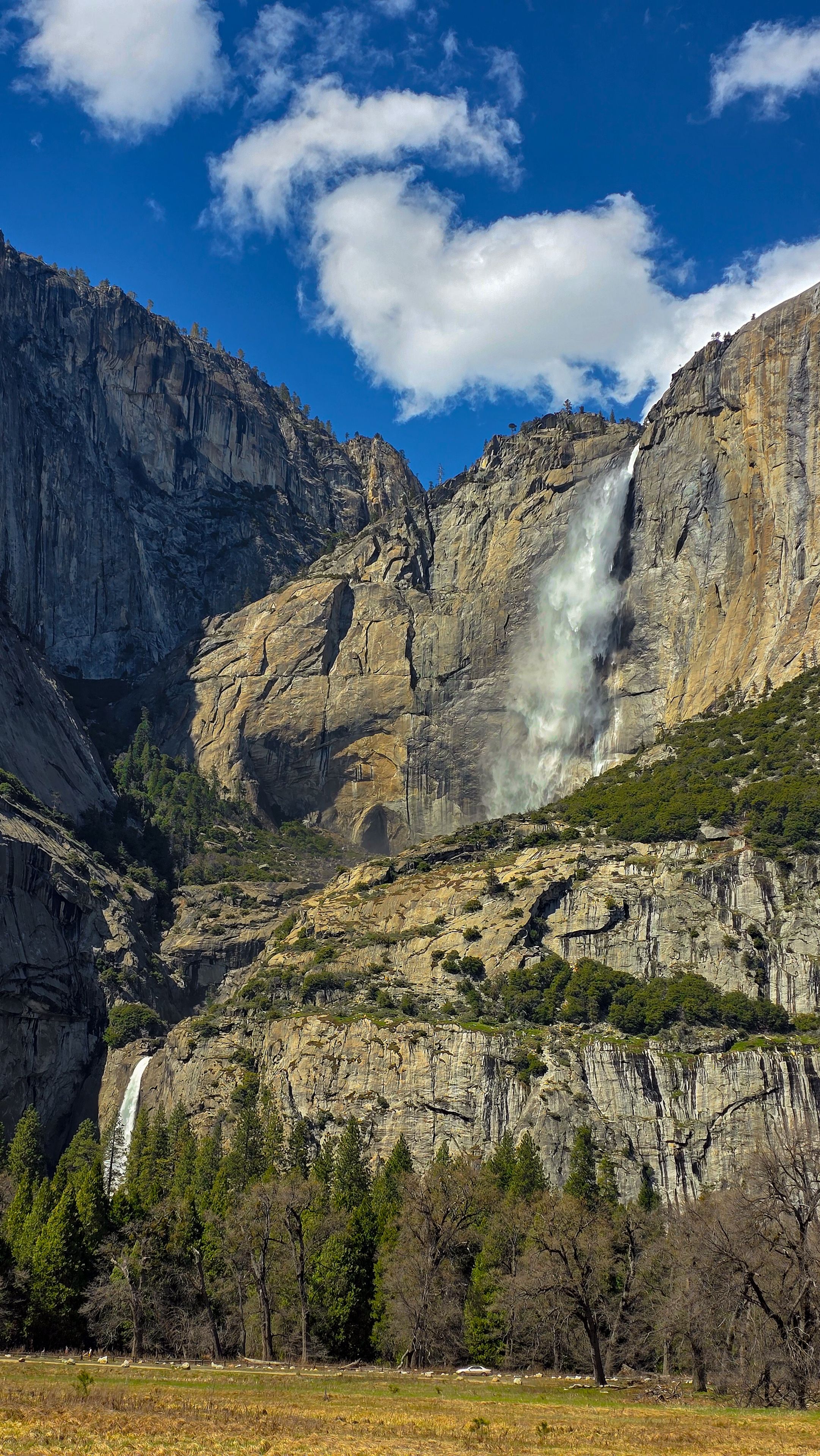 A waterfall is shown in the middle of a forest · Free Stock Photo